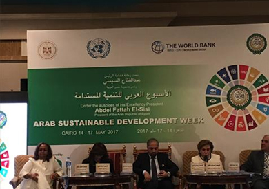 «التلاوي» تطالب «السيسي» بـ«فدان لكل امرأة»