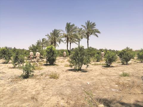 وكيل «حقوق الإنسان» بالبرلمان يقترح إخلاء الشيخ زويد ورفح مؤقتا للقضاء على الإرهاب