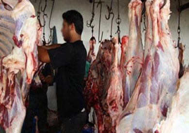 فيديو.. «الزراعة»: عودة أسعار اللحوم كما كانت «مستحيل»