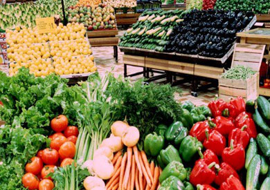 «الزراعة»: زيادة صادرات المحاصيل 25% أقوى رد على الشائعات