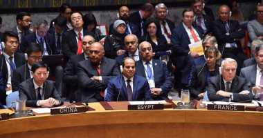«السيسي»: عناصر حل الأزمة في ليبيا متوفرة سياسيا وميدانيا