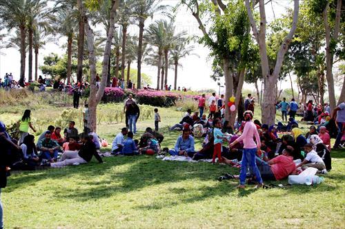 مصدر أمني: «شم النسيم» بالقاهرة بدون تحرش جسدي.. والجيزة سجلت 58 حالة لفظية