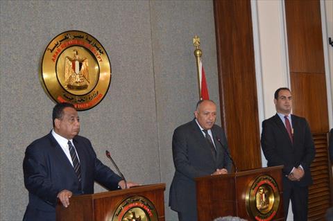 شكري والغندور في المؤتمر الصحفي