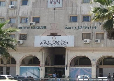 «الزراعة»: 41 مليون و501 ألف جنيه حصيلة بيع 34 قطعة بالمزاد العلني من أراضي سيناء