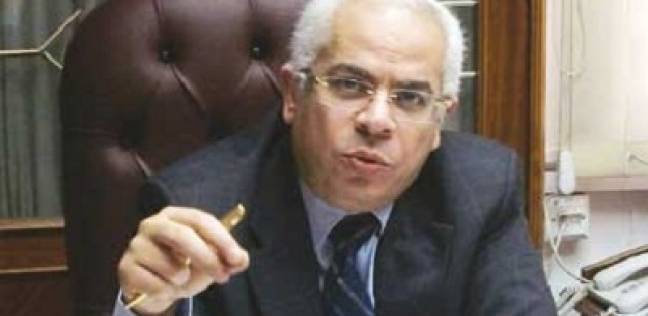 مذكرة ثانية من المستشار هشام رءوف إلى قاضي تحقيق «مشروع مكافحة التعذيب»