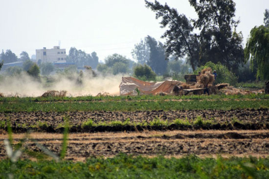 فلاح يشعل النيران في محصول أرض زراعية يمتلكها عامل بالفيوم