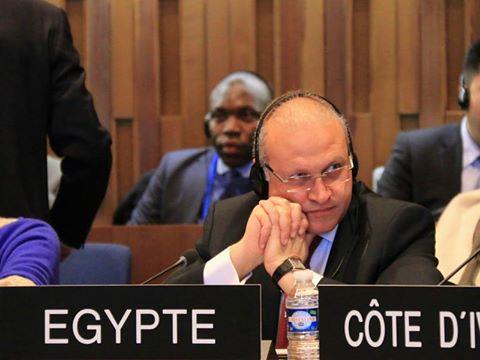 «تنمية المرأة بالجامعة العربية» تدعم ترشح سامح عمرو لمنصب المدير عام اليونسكو