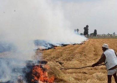 تحرير 17 مخالفة لمزارعي الأرز بسبب حرق القش في الشرقية