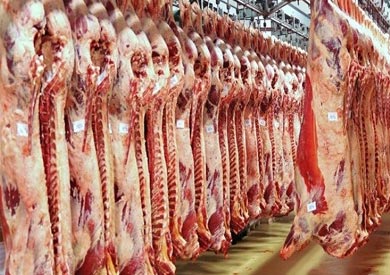 محافظة المنيا تطرح لحوم سودانية في الوحدات المحلية بسعر 55 جنيهاً للكيلو