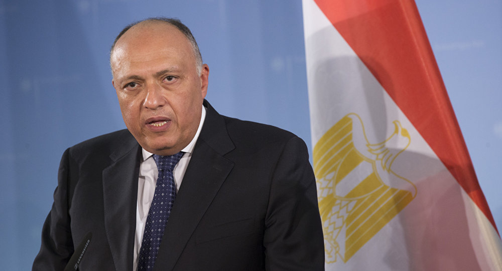 وزير الخارجية: مصر تعتنق رؤية رشيدة تتعلق بكيفية إدارة التغيير الذي لا غنى عنه