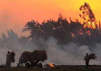 «خدمة المواطنين» توضح خطط «البيئة» في مواجهة حرق قش الأرز
