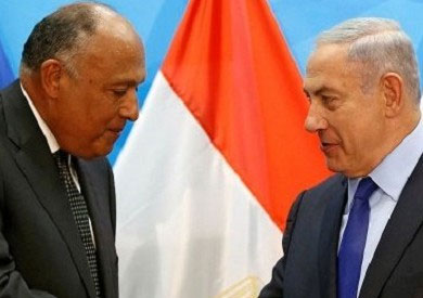 الوفد: زيارة شكري للقدس المحتلة في وقت غير ملائم