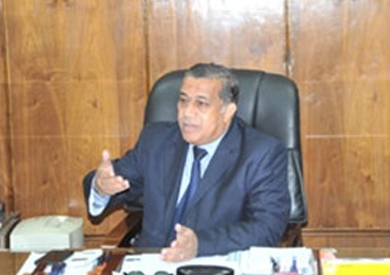 «هيئة الطرق»: 700 كوبري في مصر بحاجة إلى «رفع كفاءة»