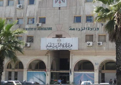 «الصناعة»: مباحثات مصرية روسية لرفع القيود على «الاستيراد»