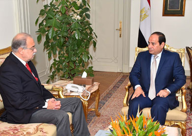«السيسي» يوجه بسرعة استكمال خطة الدولة للحماية من السيول