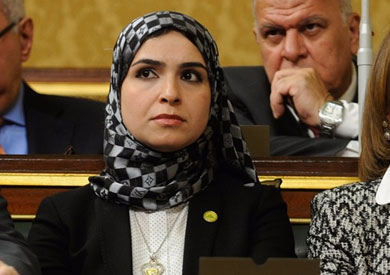 طلب إحاطة للحكومة بسبب «الحمى القلاعية»