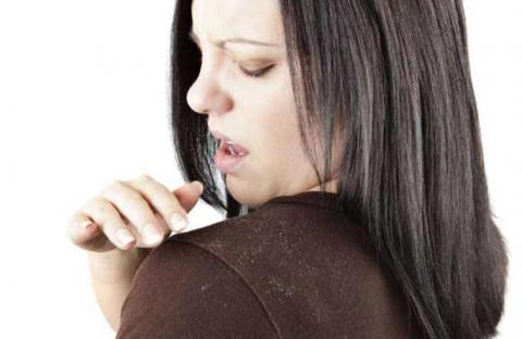 علاج قشرة الرأس تبدأ من الجراثيم