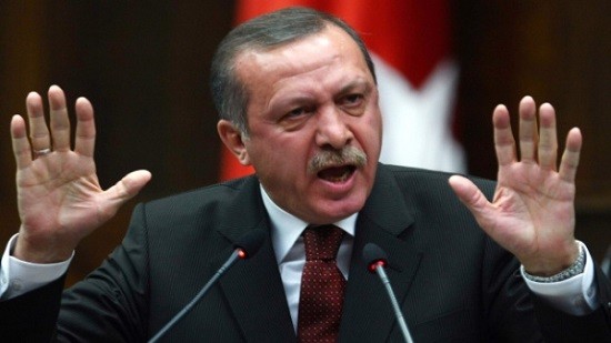 أردوغان: وقف إطلاق النار في سوريا «فرصة تاريخية» لإنهاء الحرب