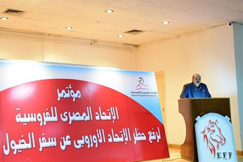 إتحاد الفروسية يبدأ خطوات حل أزمة حظر الخيول الأوروبية