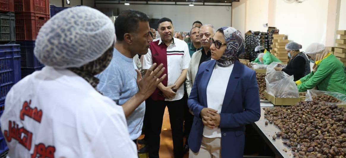 New Valley governor visits Al-Kharja training center
