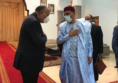 شكري يسلم رئيس النيجر رسالة الرئيس السيسي