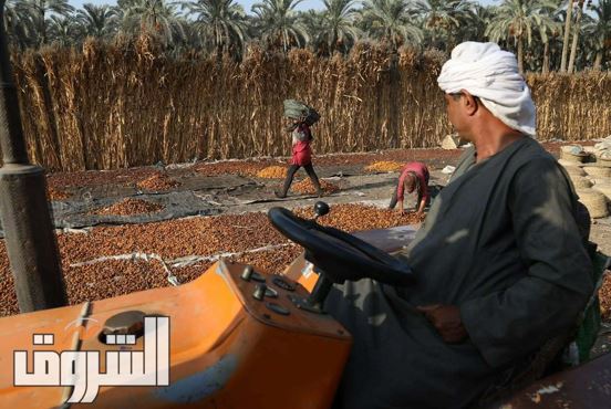 تصوير: أحمد عبدالفتاح