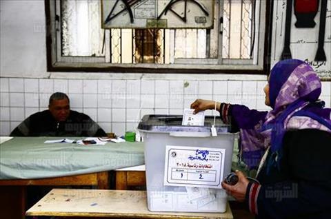 تصوير ابراهيم عزت