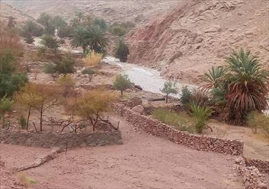"وادي طلاح" واحة بسانت كاترين يقصده ألاف السائحين رغم خطورة برك المياه به