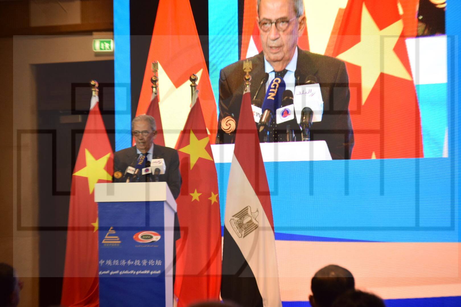 تصوير: داليا مصطفى