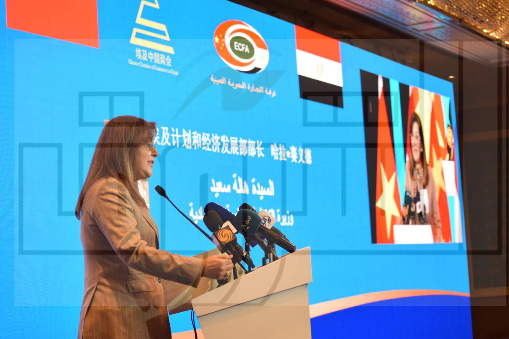 تصوير: داليا مصطفى