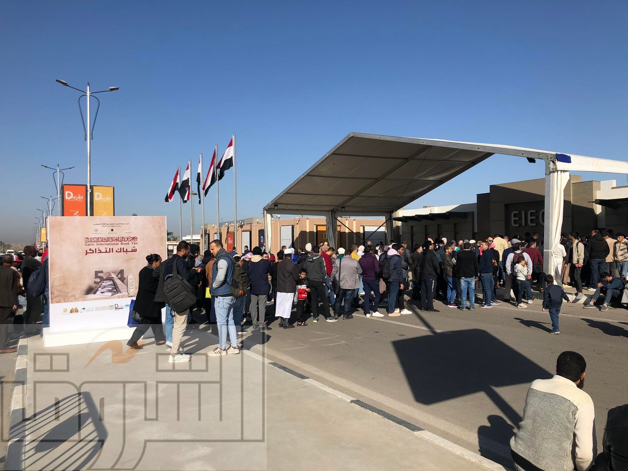 تصوير داليا مصطفى