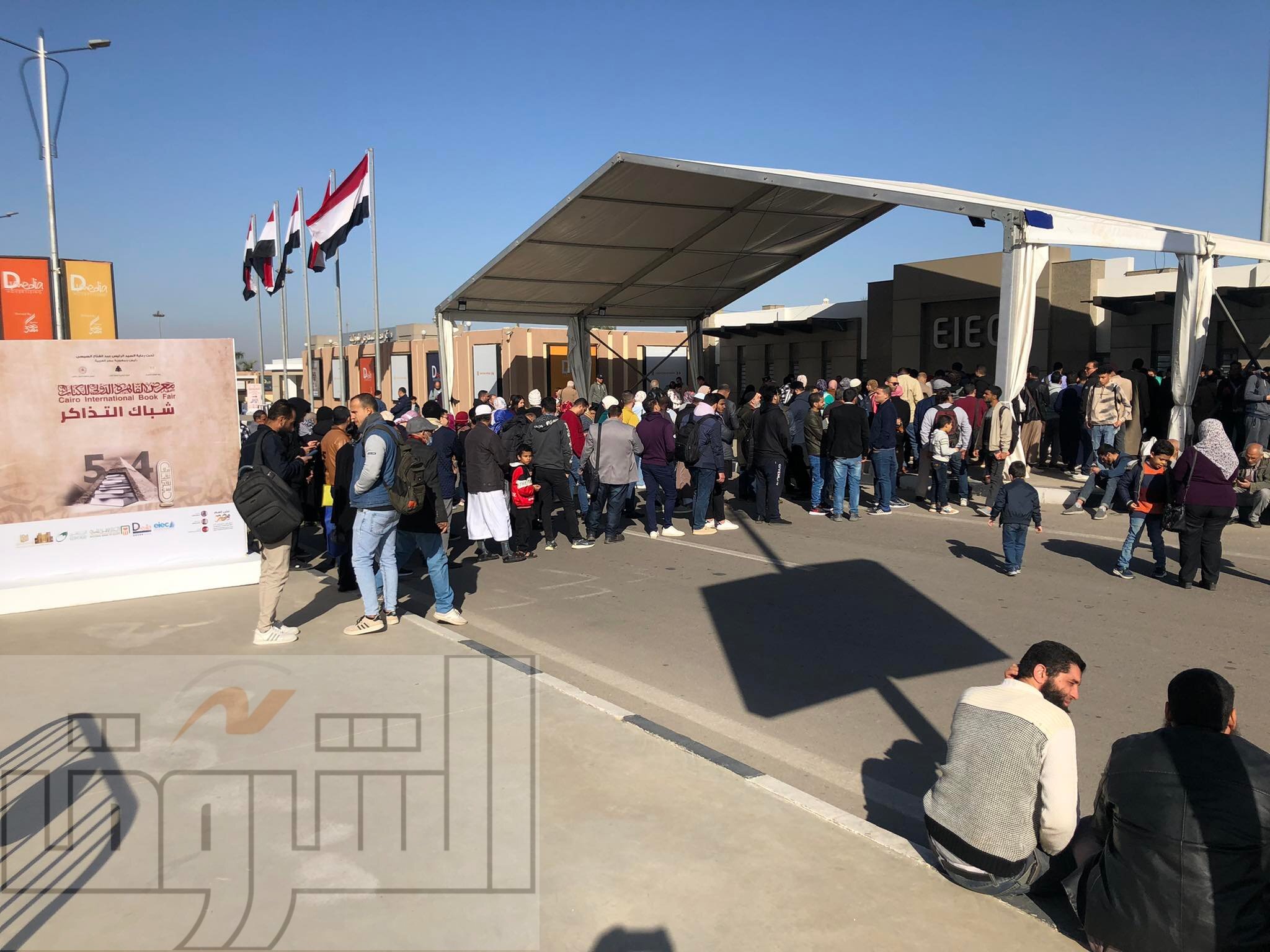 تصوير داليا مصطفى