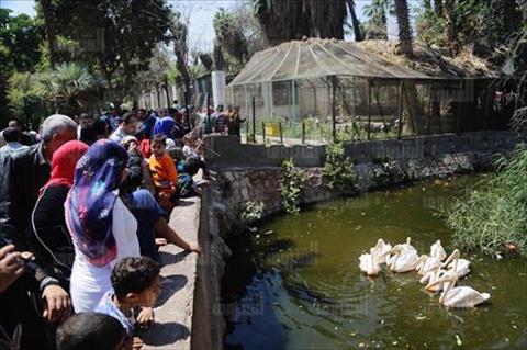 تصوير:أحمد عبدالجواد