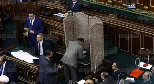 عنوان الألبوم: انتخابات وكيلي مجلس النواب - تصوير: لبنى طارق