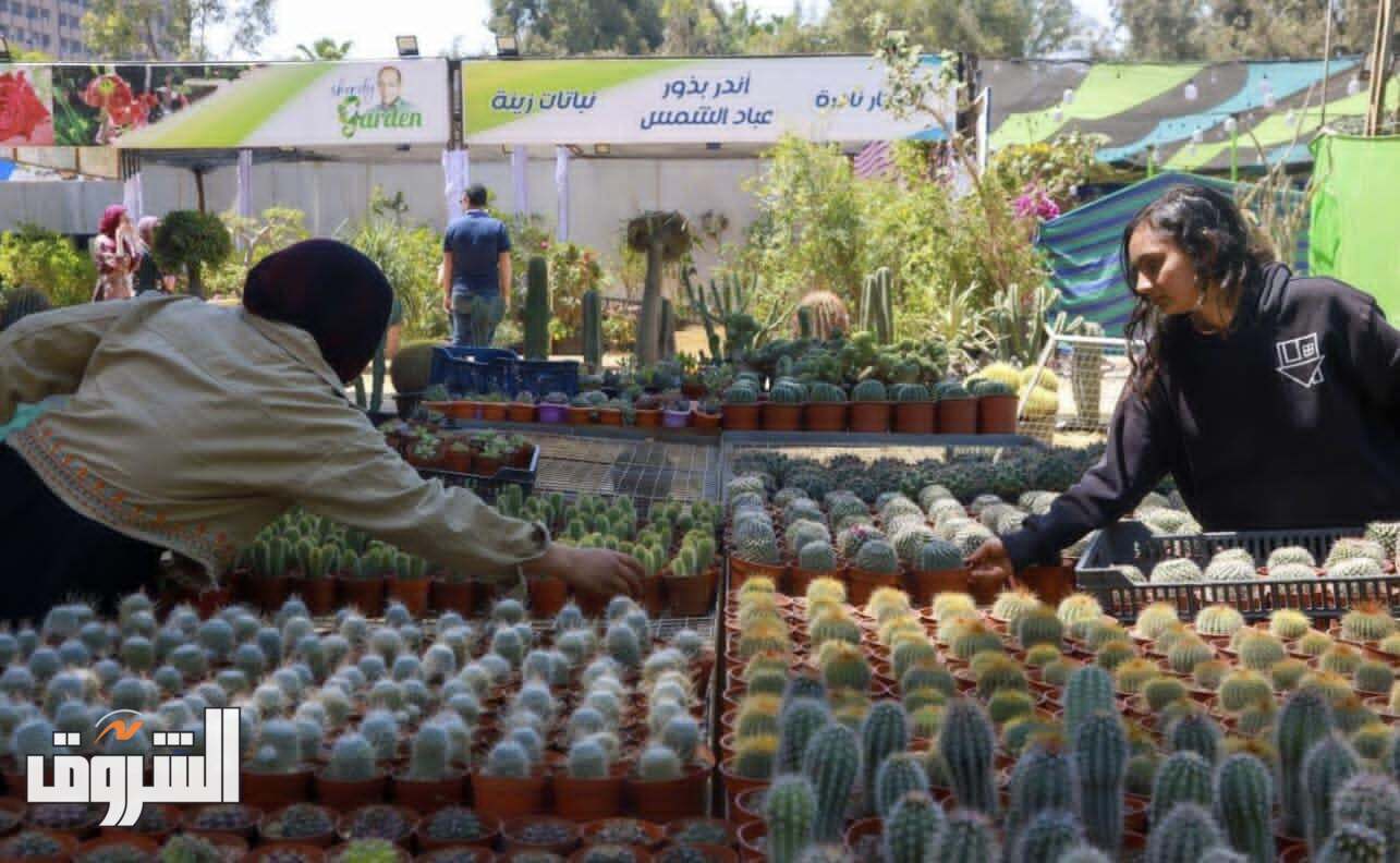 تصوير - دنيا يونس