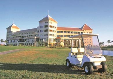 ارض دريم لاند