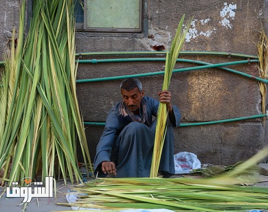 تصوير: دنيا يونس
