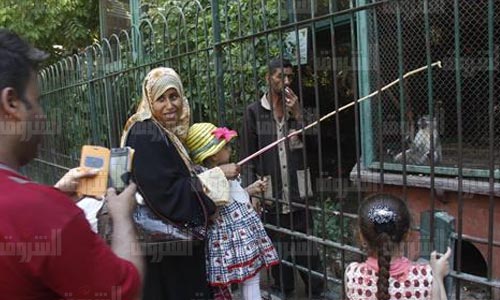 مواطنون يحتفلون بعيد الفطر في حديقة الحيوان وعلى كورنيش النيل - تصوير: هبة خليفة وروجيه أنيس