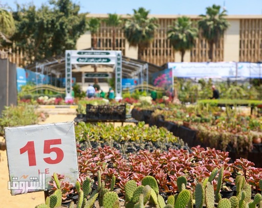 تصوير: دنيا يونس