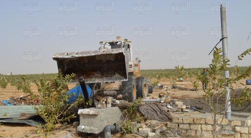 ارشيفية