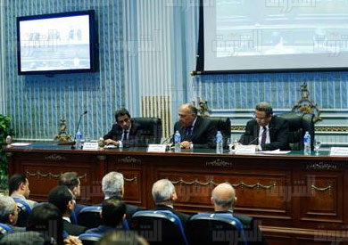 لجنة العلاقات الخارجية تصوير لبنى طارق