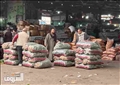تصوير: جيهان نصر