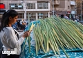 تصوير: دنيا يونس
