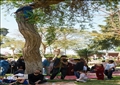تصوير: دنيا يونس