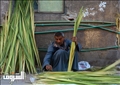تصوير: دنيا يونس