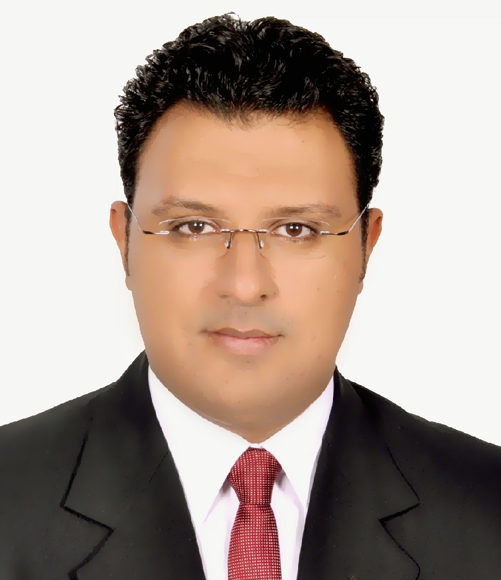 محمد حسن سلامة