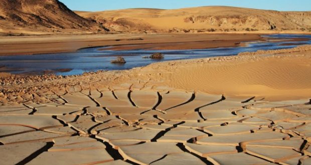 المجلس العربي للمياه: 18 دولة عربية تقع تحت خط الفقر المائي - بوابة الشروق  - نسخة الموبايل