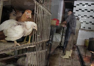 تصوير: إيمان هلال