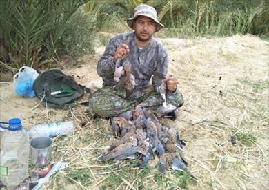 صيد وحصيلة من الطيور المهاجرة في محافظة مطروح