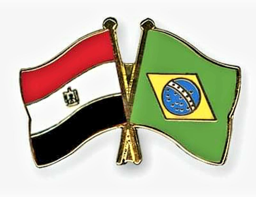 مصر والبرازيل تؤكدان ضرورة بناء نظام دولي أكثر ازدهارًا وديمقراطية
